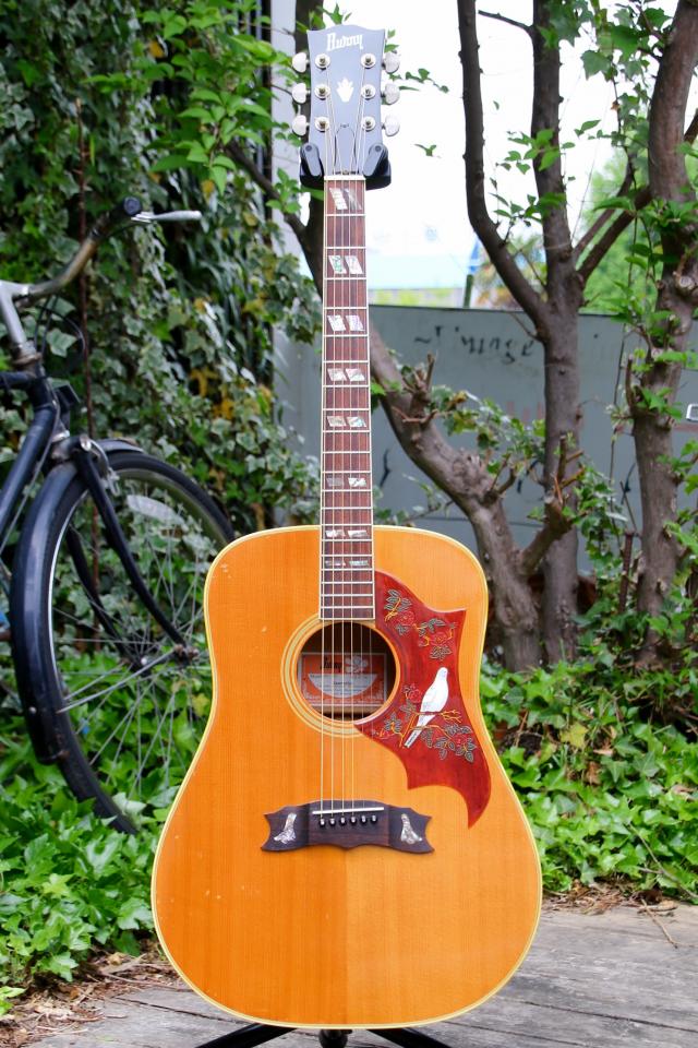 Burny BD-85 1977年 ビンテージ 139229 Burny(バーニー)【楽器検索｜J