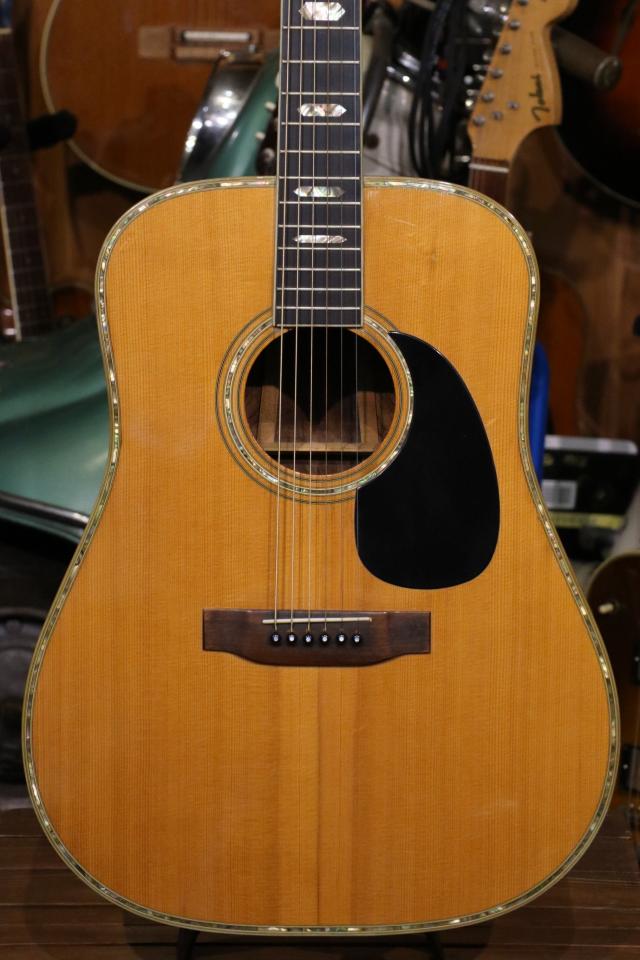 Morris W-100 1976年頃 ビンテージ 139230 Morris(モーリス)【楽器検索