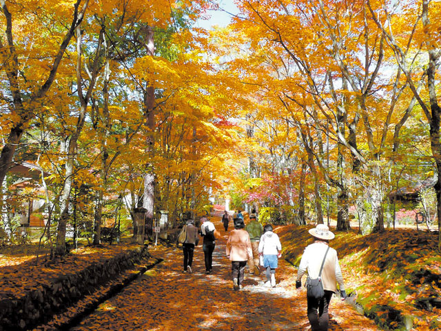 旧碓氷峠見晴台（軽井沢）の紅葉｜紅葉情報2025