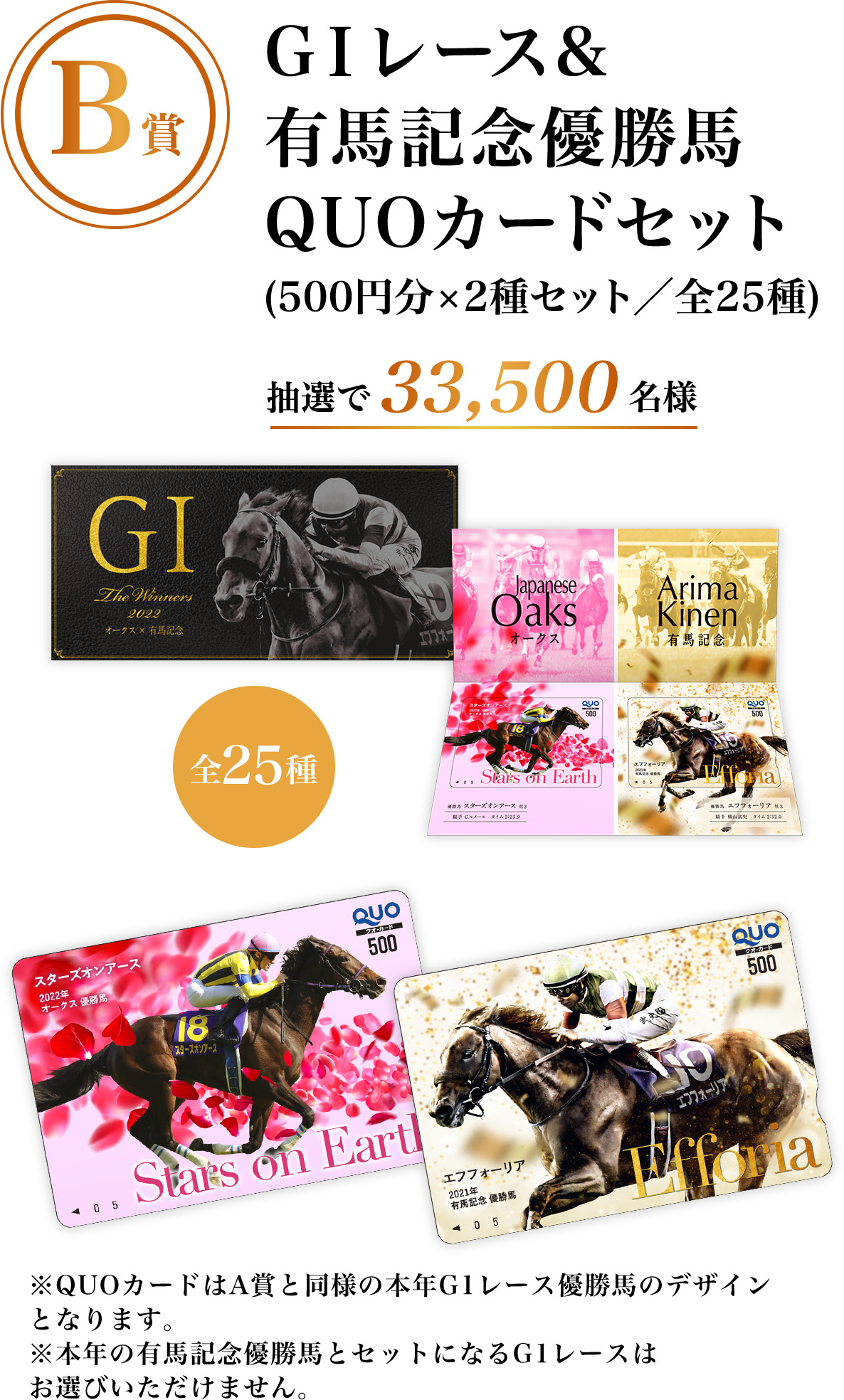 有馬記念キャンペーン 最高のラストスパートへ。| JRA