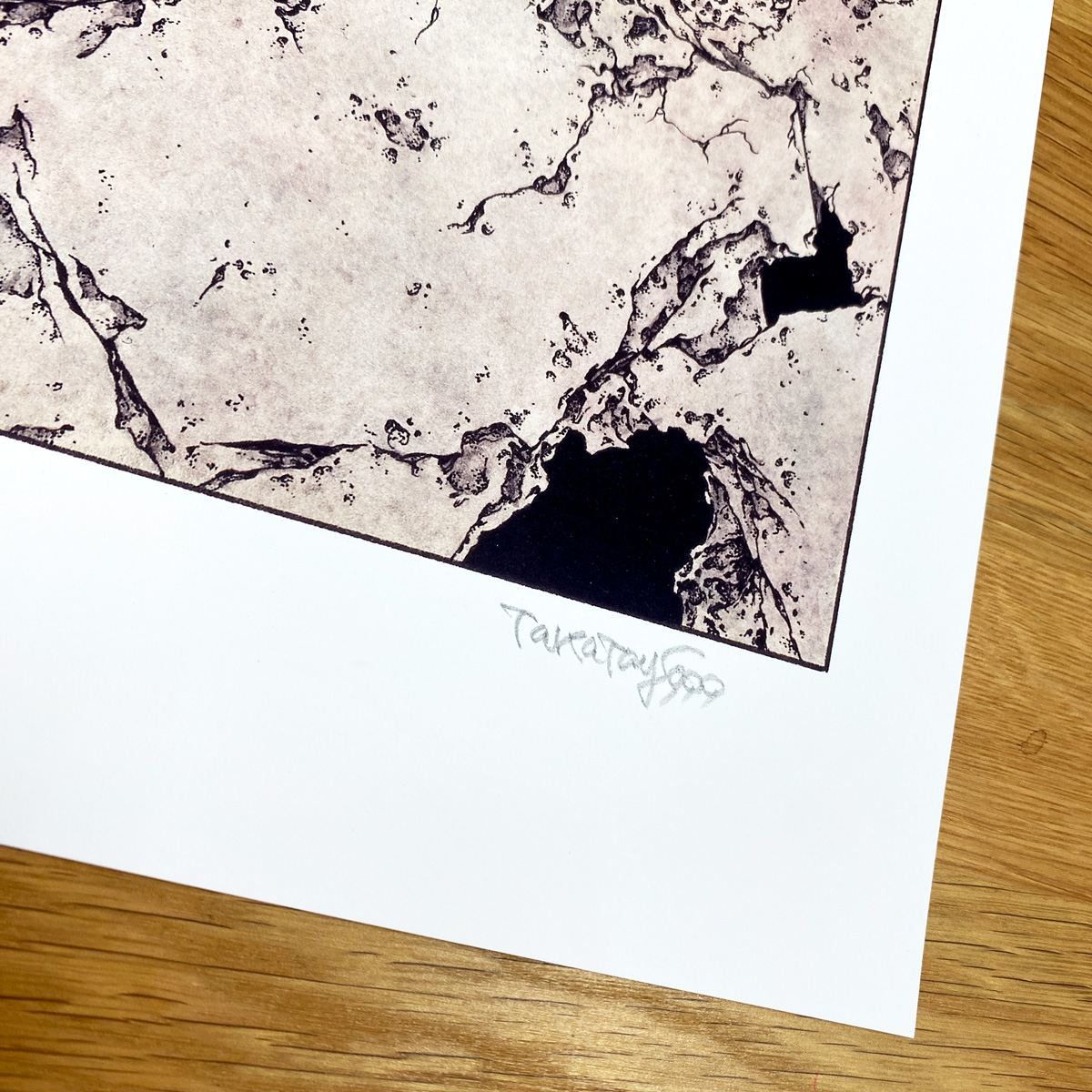 Span Art Gallery / 【直筆サイン・エディション入】山本タカト 額付き