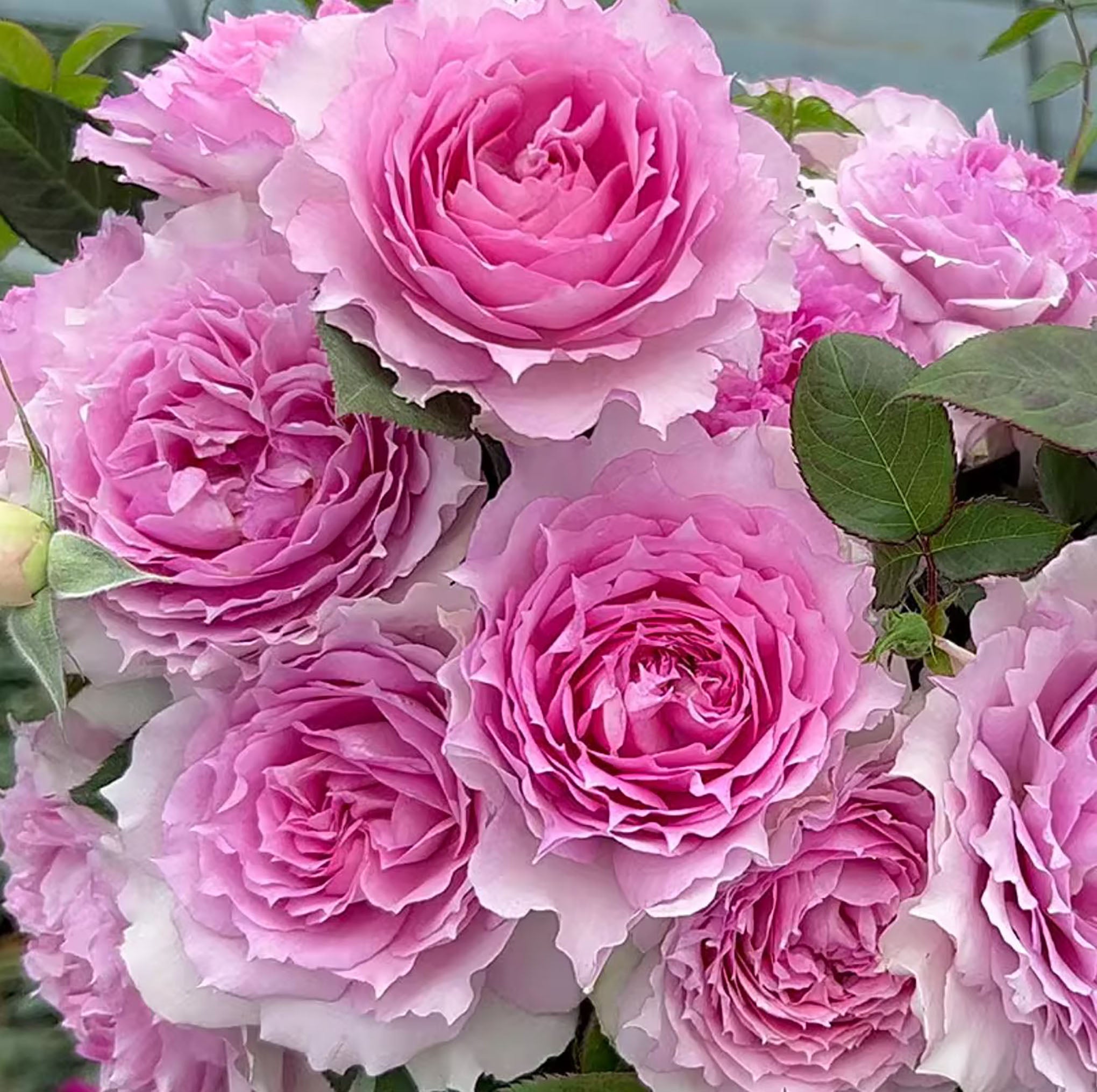 10_d77e65d0-a3fa-46ff-93fb-