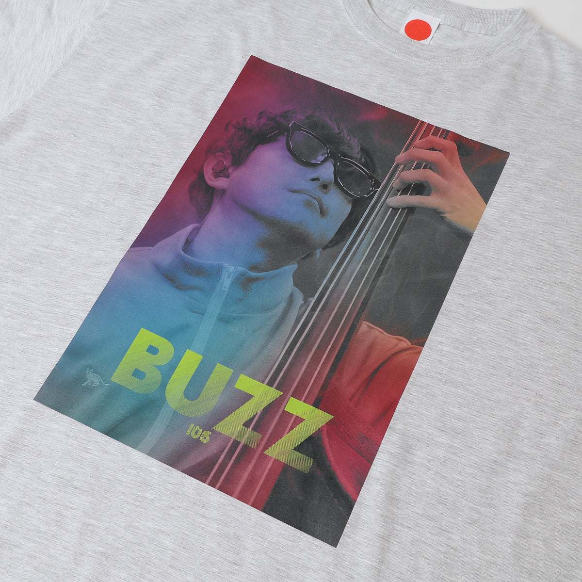 SR猫柳本線 猫キヲスク