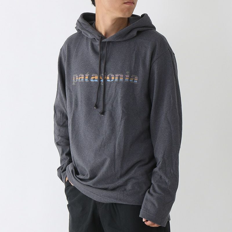 patagonia パタゴニア LW'73テキストロゴワイルドライズフーディ