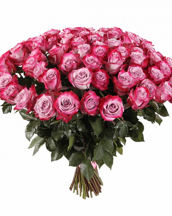 69 роз 50 см - SunRose сеть цветочных баз
