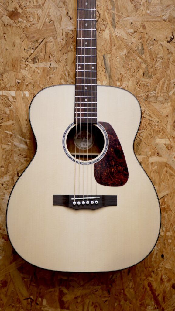 Morris 2025新作 F-1シリーズ – SUNSET音楽室