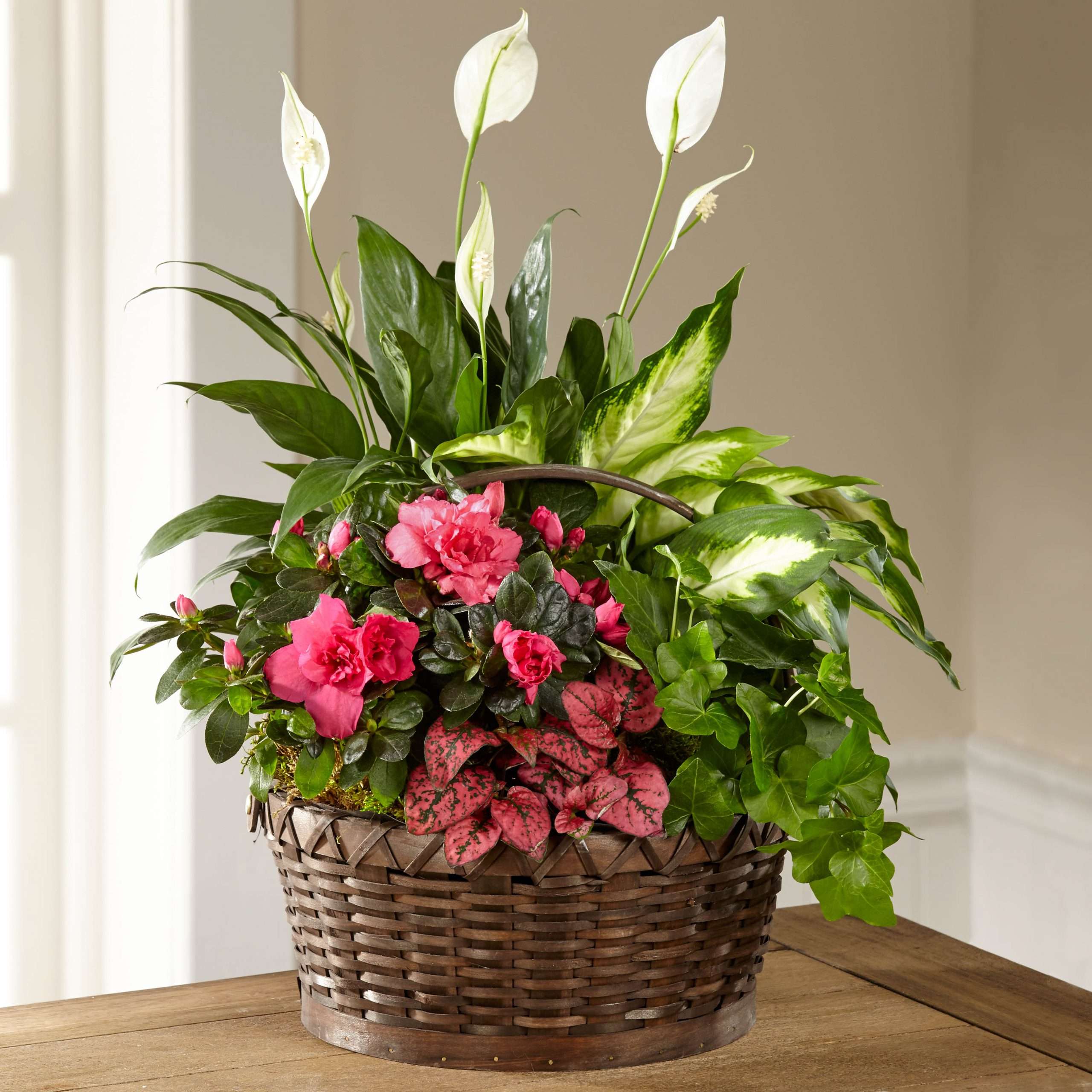 The FTD® Dream in Pink™ Dishgarden C27-5195 · Sublime Fleuriste
