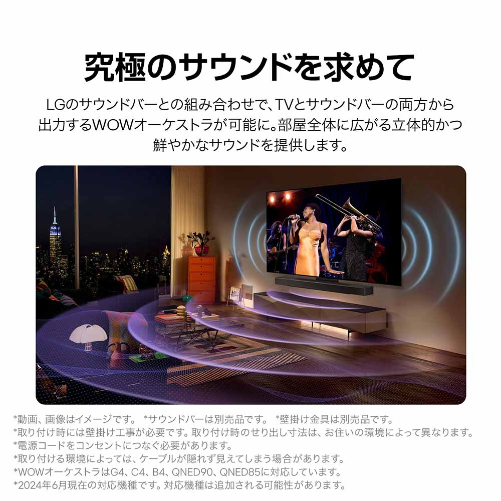 LG LG 65V型 4K有機ELテレビ(OLED65G4PJB) / エルジー | 家具・家電の