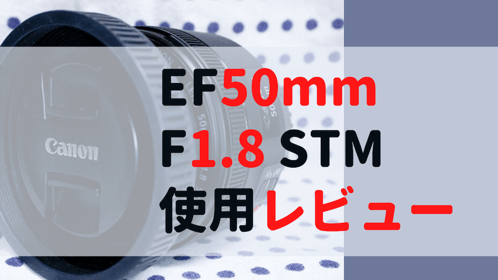 キヤノンEF50mm F1.8 STM【使用レビュー】神コスパの単焦点レンズ