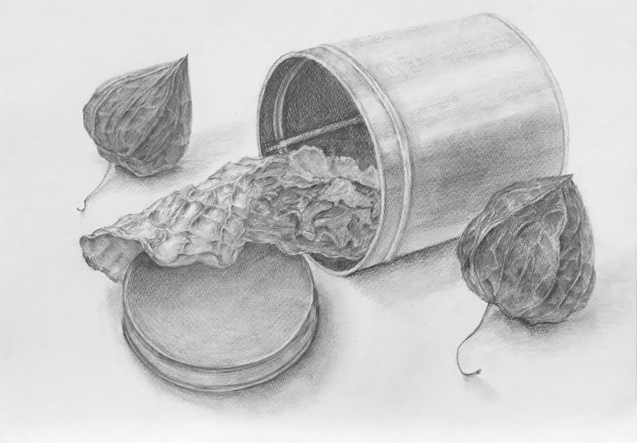 基礎科 夏季講習会［後期］ビギナーデッサンコースの巻 | すいどーばた