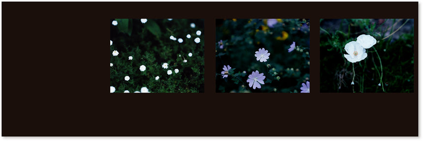 Étude Risaku Suzuki (鈴木理策) – SUPER LABO