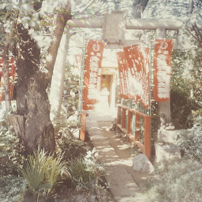 Torii Risaku Suzuki (鈴木理策) – SUPER LABO