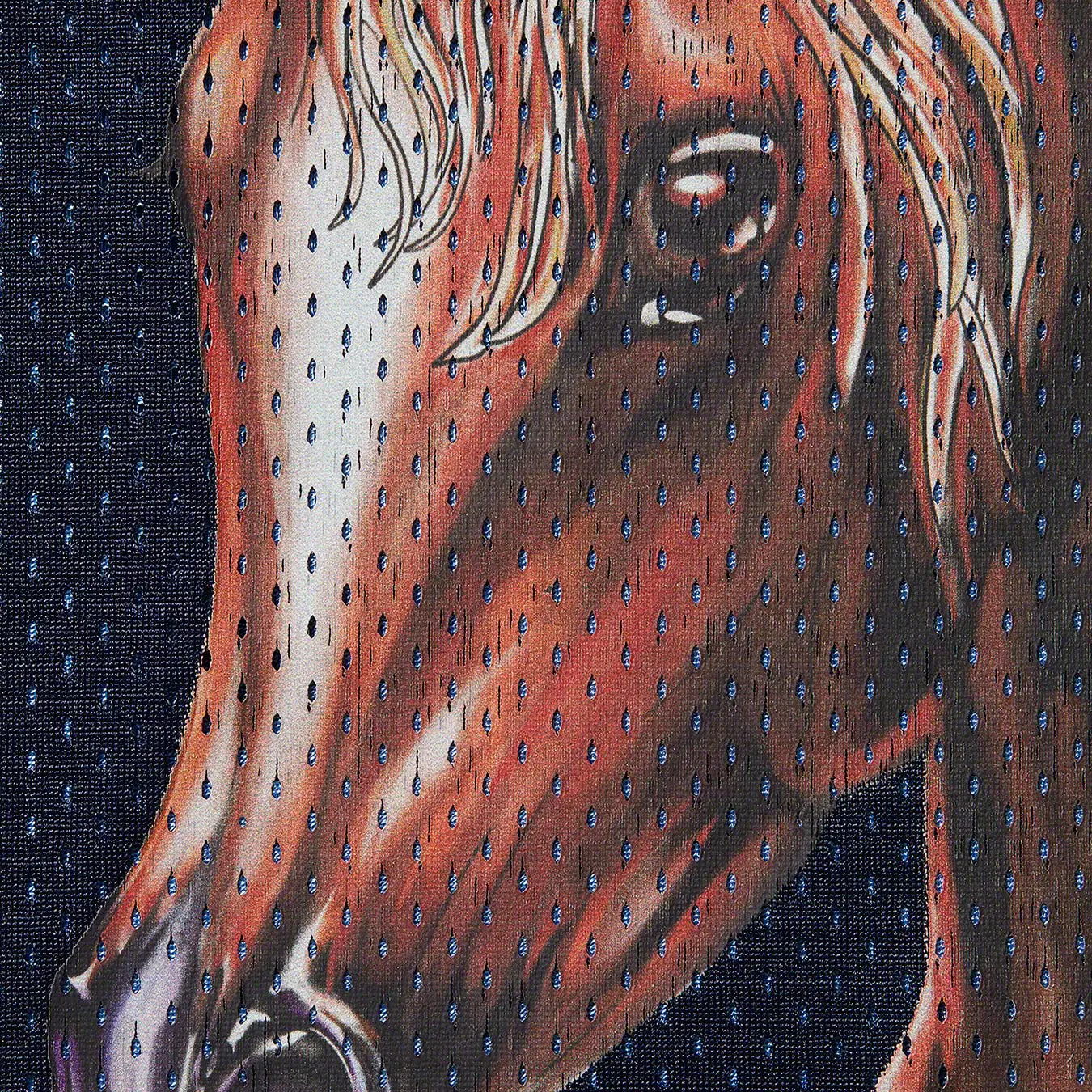 Mustang Reversible Basketball Jersey | Supreme 23ss