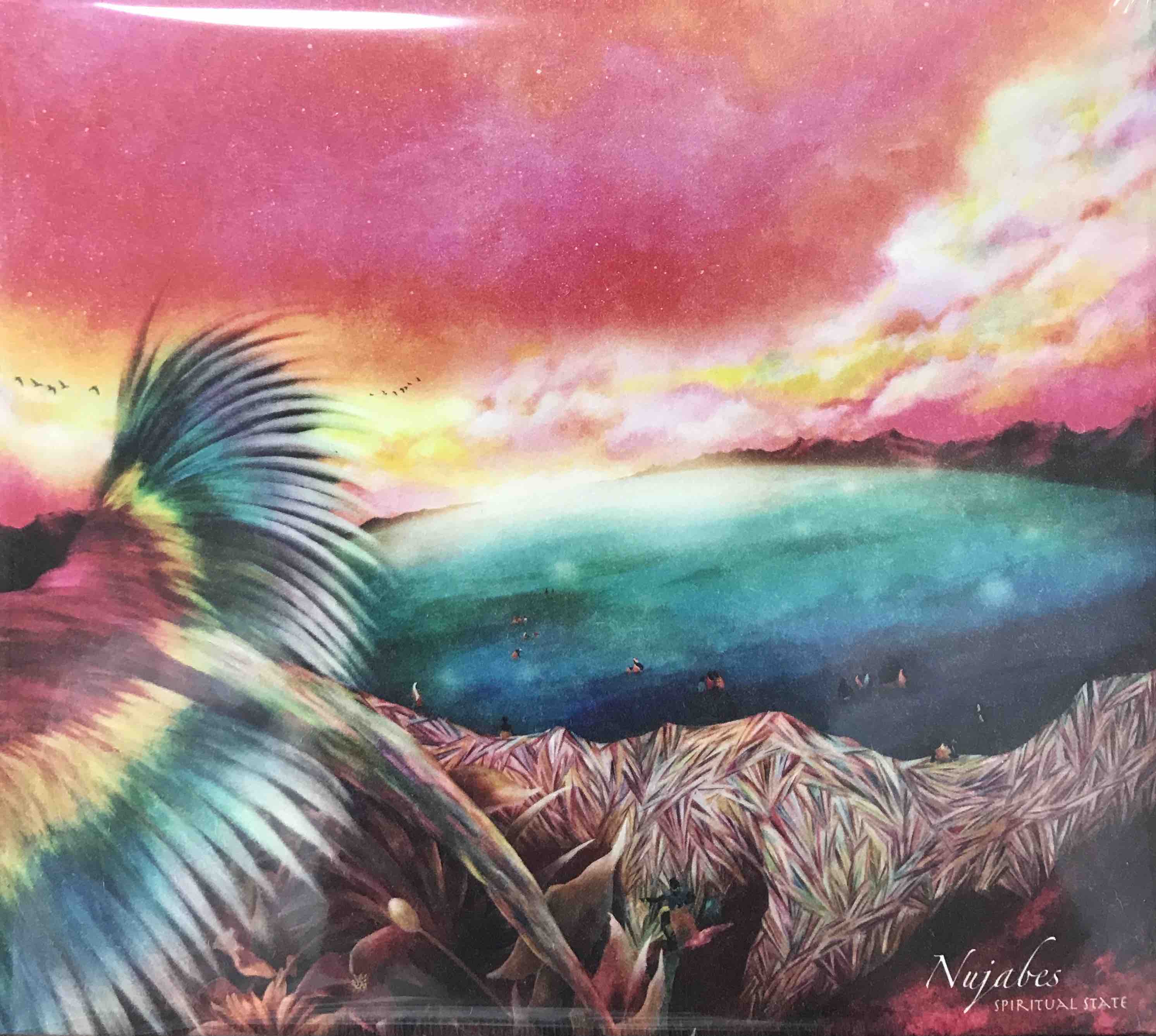 Nujabes ‎– Spiritual State – Surface Records