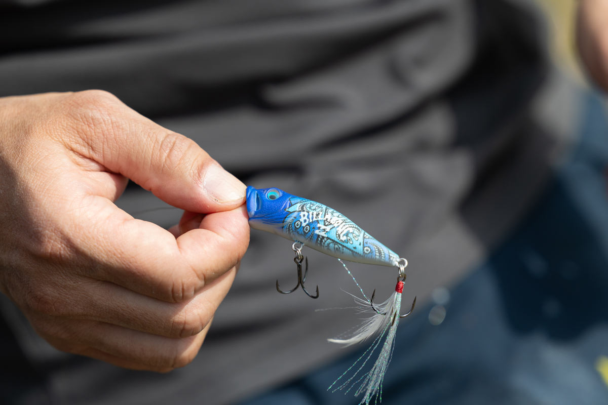 BILLABONG × MEGABASSによる YOSHI47 COLLECTIONスペシャルボックス