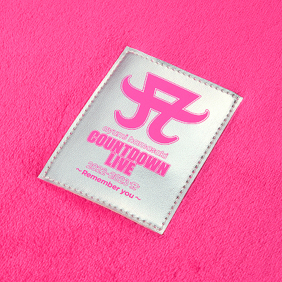 浜崎あゆみ クッションブランケット 激レア】浜崎あゆみ クッション in