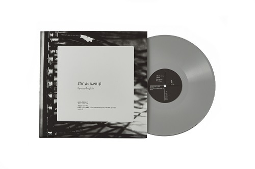 CDJapan : Pay Money to My Pain Vinyl COMPLETE BOX [Limited Release