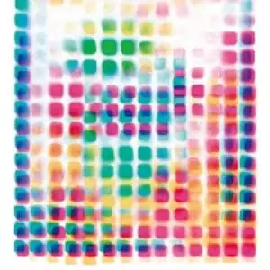 NISENNENMONDAI / にせんねんもんだい商品一覧｜OLD ROCK｜ディスク