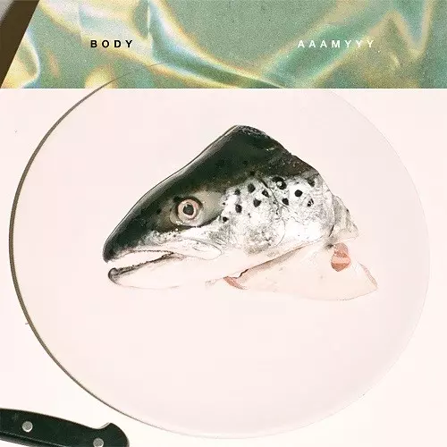 BODY(アナログ)/AAAMYYY｜日本のロック｜ディスクユニオン・オンライン
