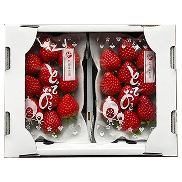 鳥取県(琴浦町)西尾農園のいちご(とっておき)2パックセット250g以上×2