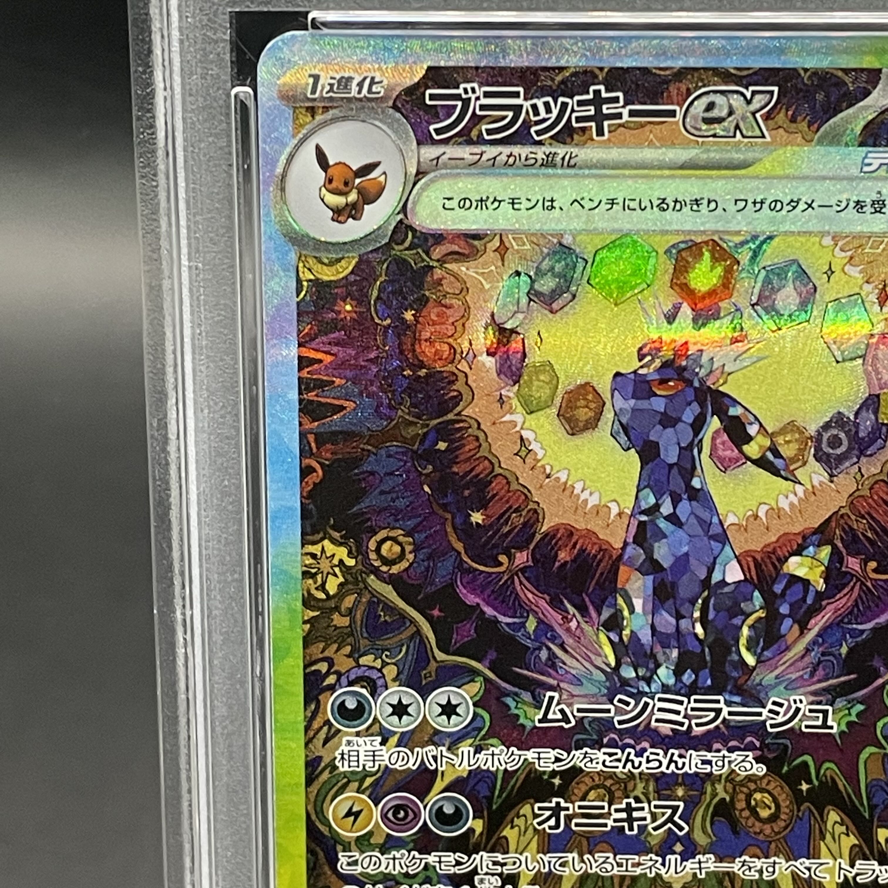 PSA10】ブラッキーex SAR 217/187 1枚の通販 土日祝休@magi公式