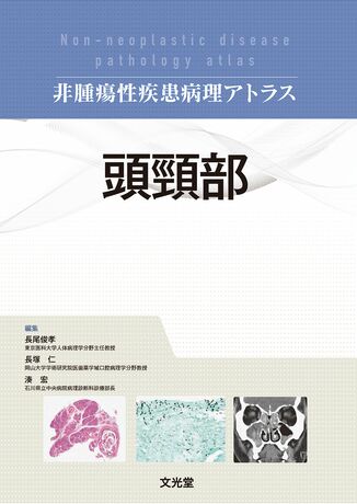 頭頸部 | 株式会社文光堂