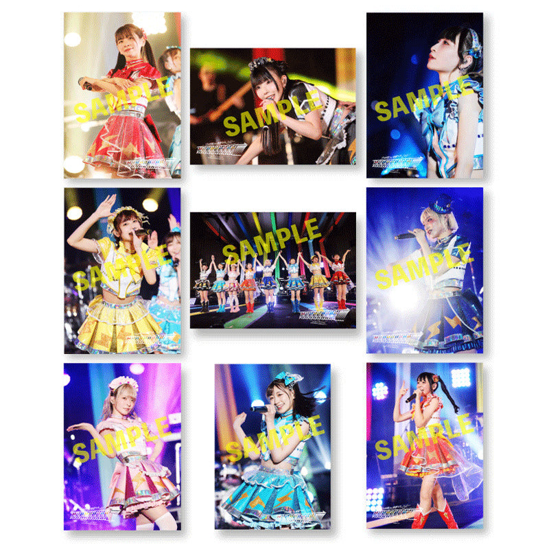 DVD】お前らDEMPARKまで行くんだろ？乗りな！/ 電電電電電電電電電