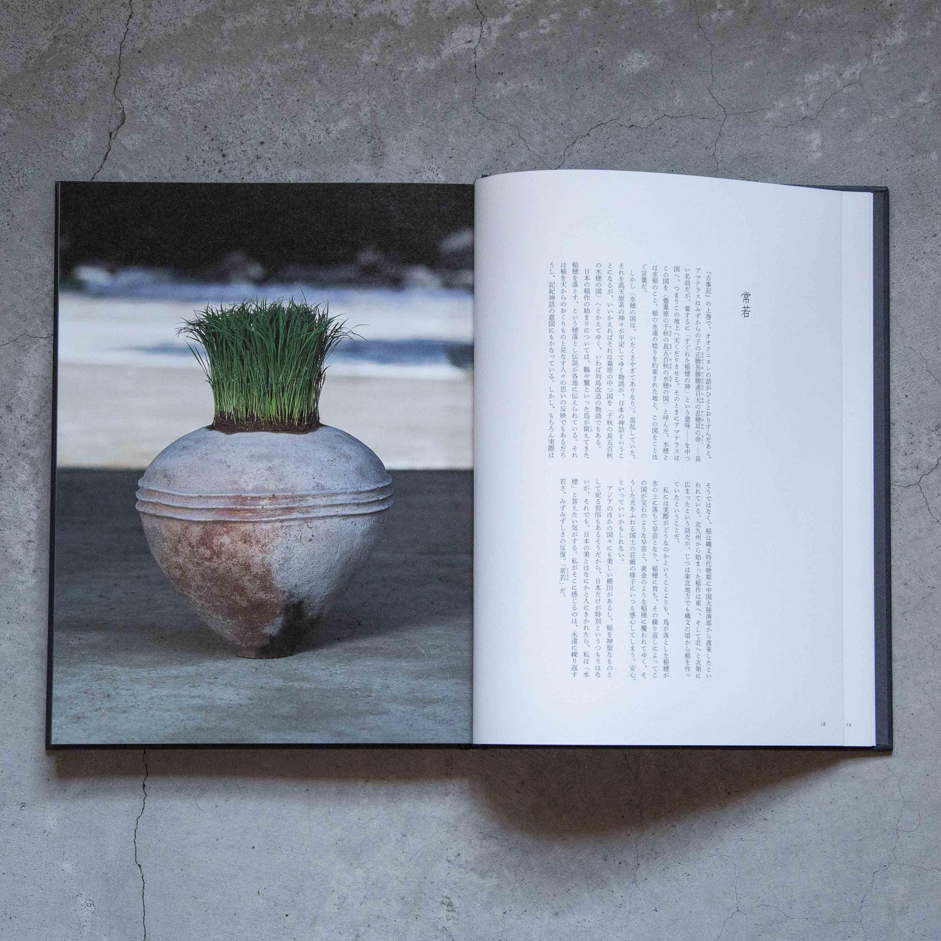 花をたてる 川瀬敏郎 新潮社青花の会 -の商品詳細 | 蔦屋書店