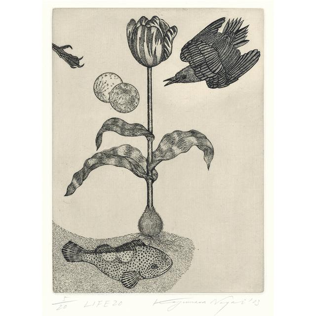 サイン入り】永井一正 銅版画作品 「LIFE 20」 永井一正 -の商品詳細