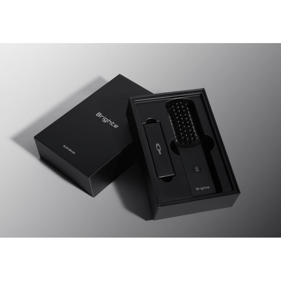Brighte（ブライト）ELEKI BRUSH（エレキブラシ） -の商品詳細 | 蔦屋