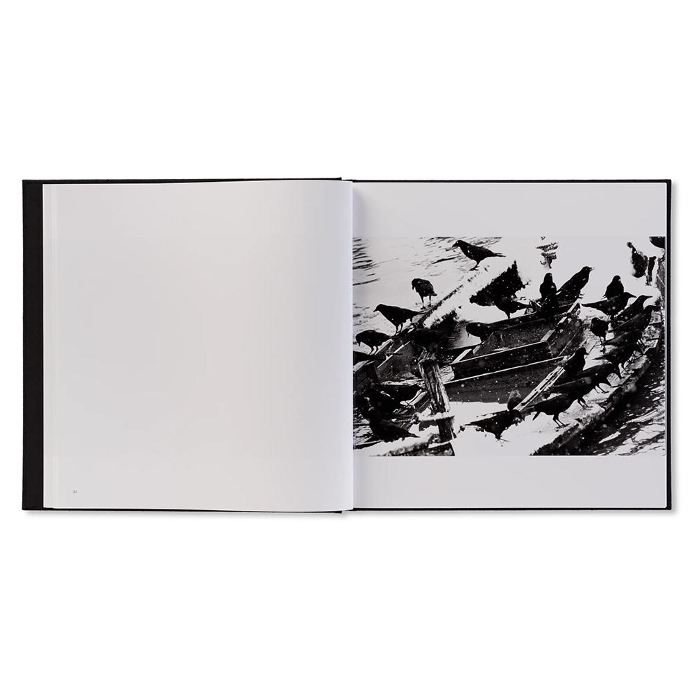 深瀬昌久写真集 「鴉/RAVENS（レイブンズ）」 . 深瀬昌久 -の商品詳細