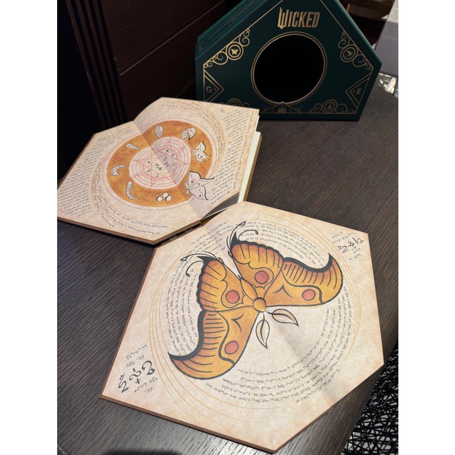 Wicked: The Grimmerie Collectible Hardcover Journal』 -の商品詳細