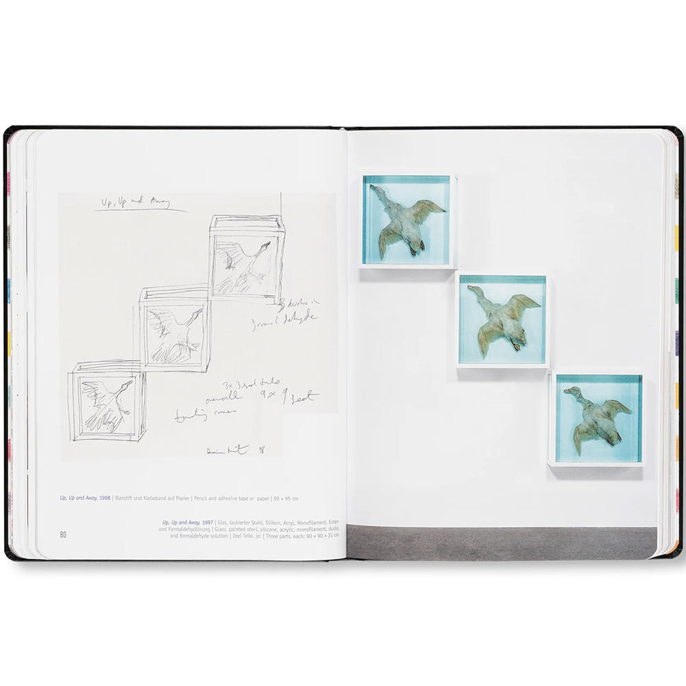 DAMIEN HIRST - DRAWINGS by Damien Hirst（ダミアン・ハースト） 作品