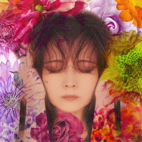 中森明菜 / 歌姫伝説 ～90's BEST～【CD】【UHQCD】 – UNIVERSAL MUSIC
