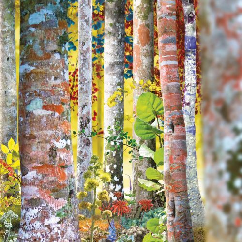 デヴィッド・シルヴィアン / Do You Know Me Now?【輸入盤