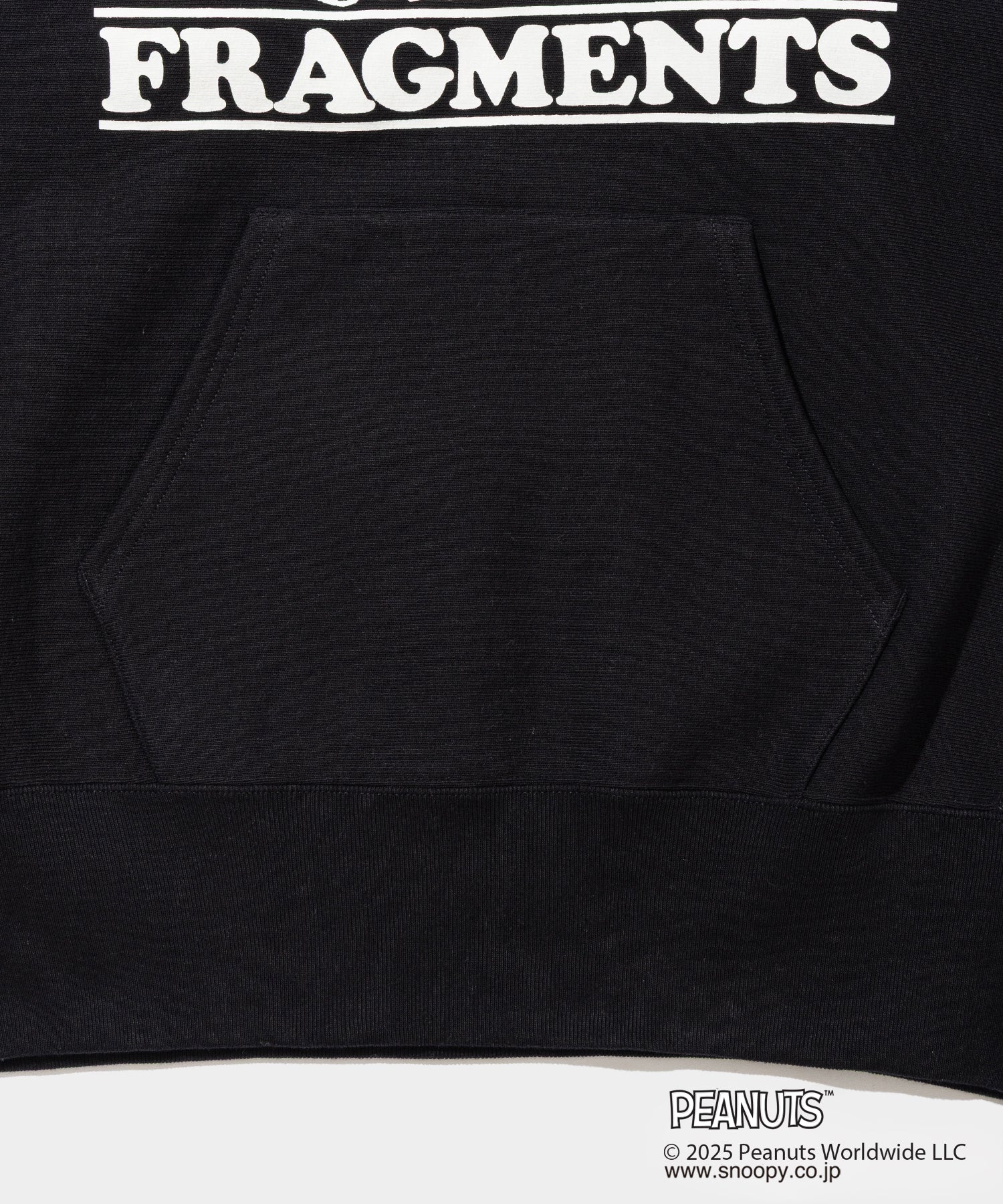 Champion Sweat Hoodie - 011A PEANUTS FRAGMENTS – V.A. TOKYO ONLINE