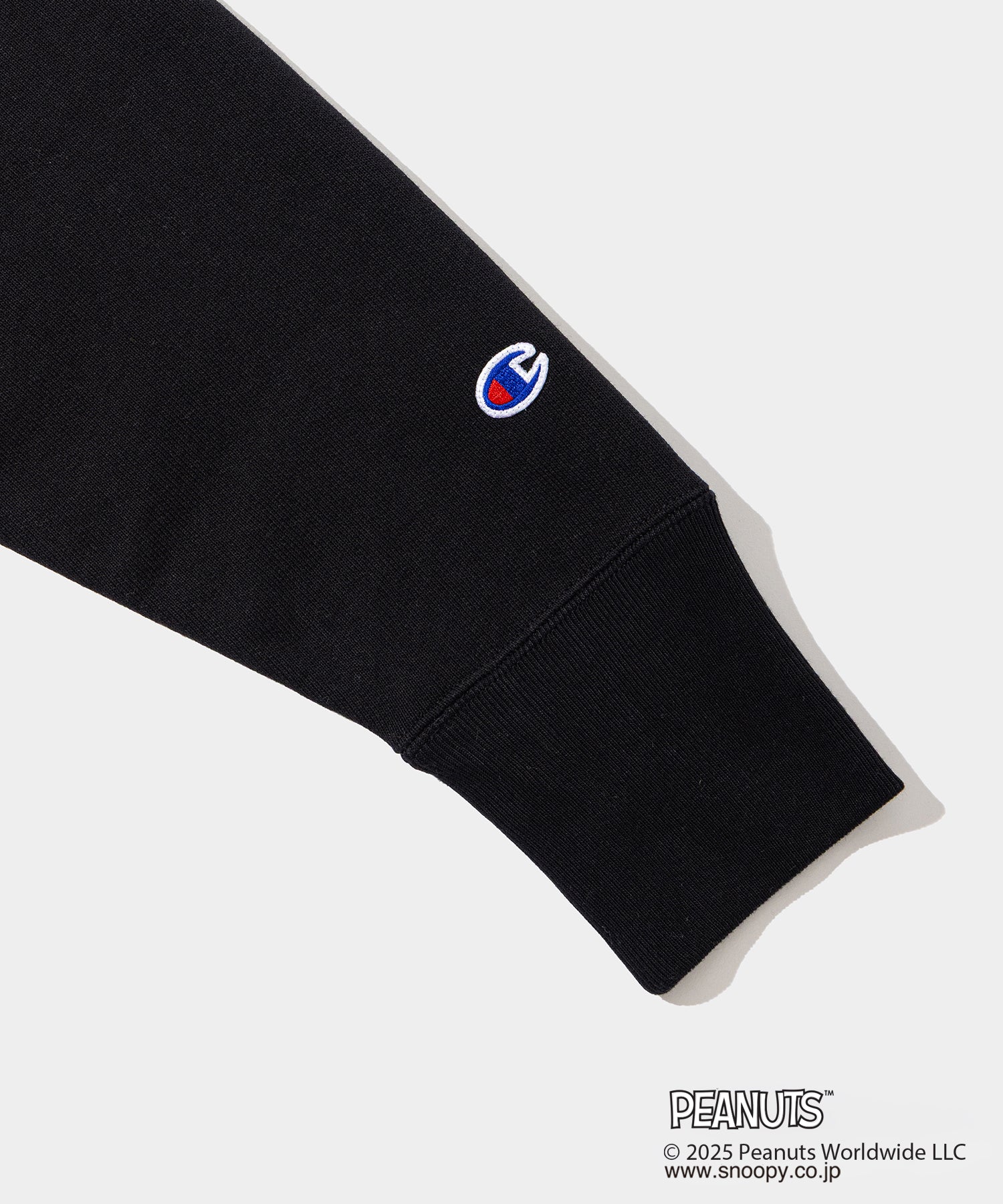 Champion Sweat Hoodie - 011A PEANUTS FRAGMENTS – V.A. TOKYO ONLINE