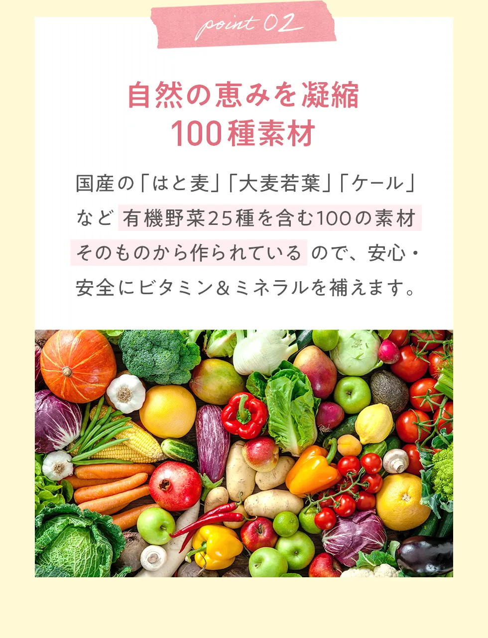 Yoganiclife ヨギーニフード100: LAVA公式オンラインストアLapre｜LAVA