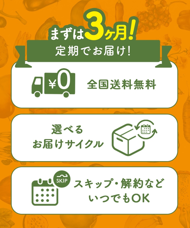 定期購入キャンペーン】Yoganic Life ヨギーニフード100［3箱コース