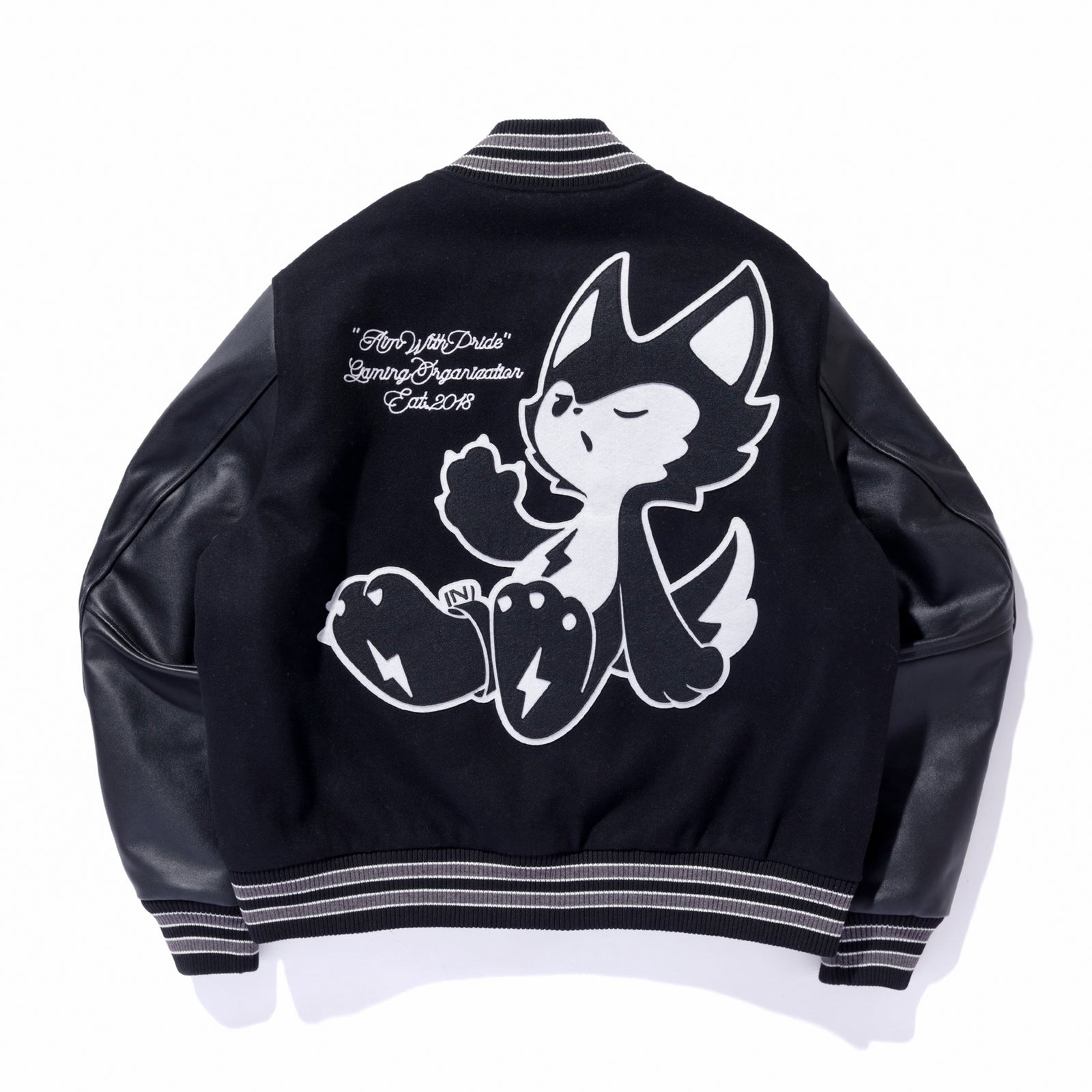 2024 ZETA MASCOT VARSITY JACKET – ZETA DIVISION STORE