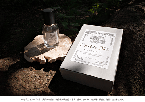 死に戻りの魔法学校生活を、元恋人とプロローグから】香水