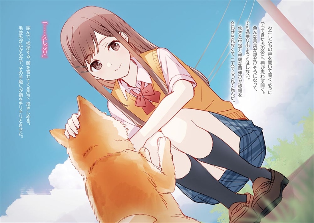 安達としまむら13: 本・コミック・雑誌 | カドスト | KADOKAWA公式