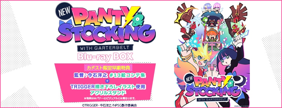 New PANTY ＆ STOCKING with GARTERBELT|映像商品: | カドスト