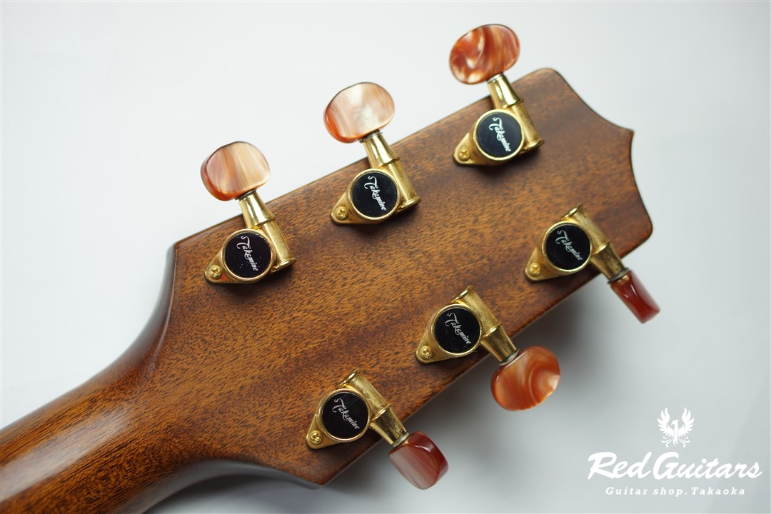 Takamine NPT-010 | Red Guitars Online Store