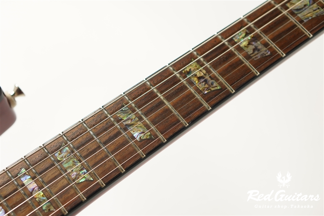 Epiphone Limited Edition Tak Matsumoto DC Standard Plus Top