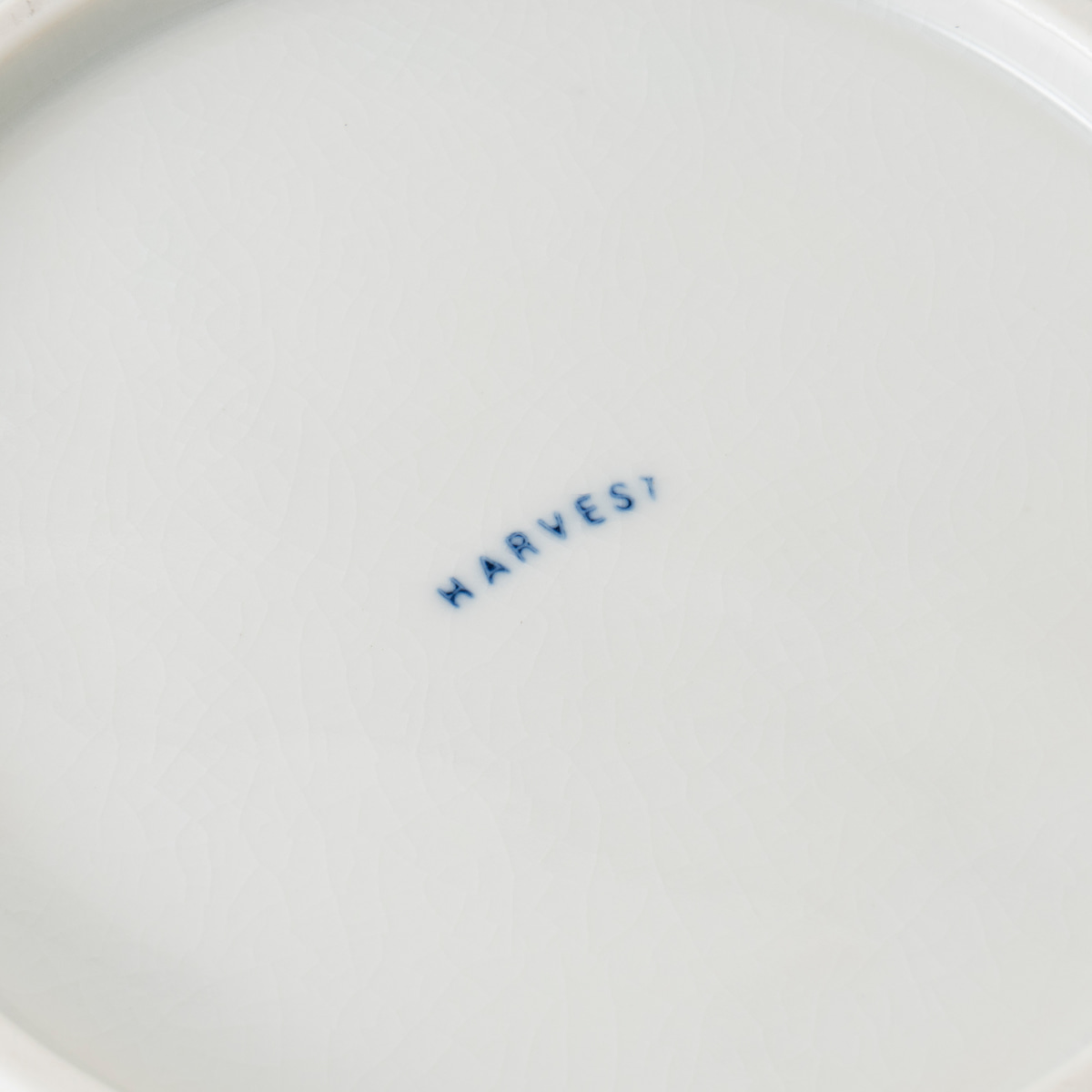 九谷焼】THE HARVEST クラウドナイン 八角 中皿 L | HESTA LIFE store