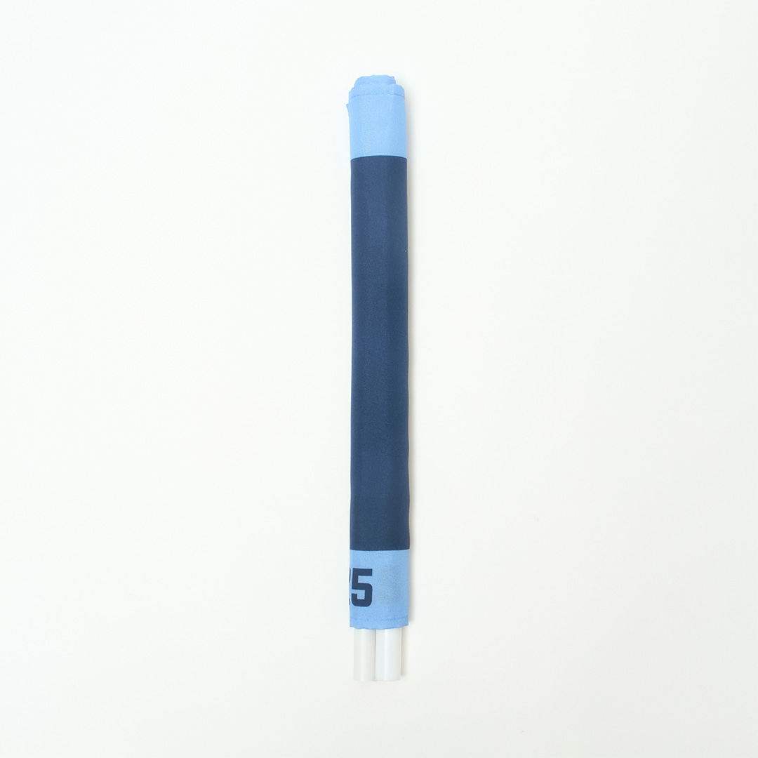 ライオンズフェスティバルズ2025 折りたたみミニフラッグ: 応援グッズ