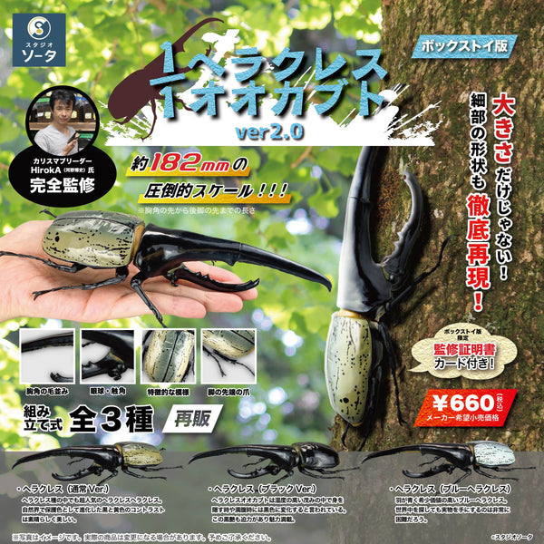 予約受付終了】1/1 ヘラクレスオオカブト(再販)【1BOX／4個入り