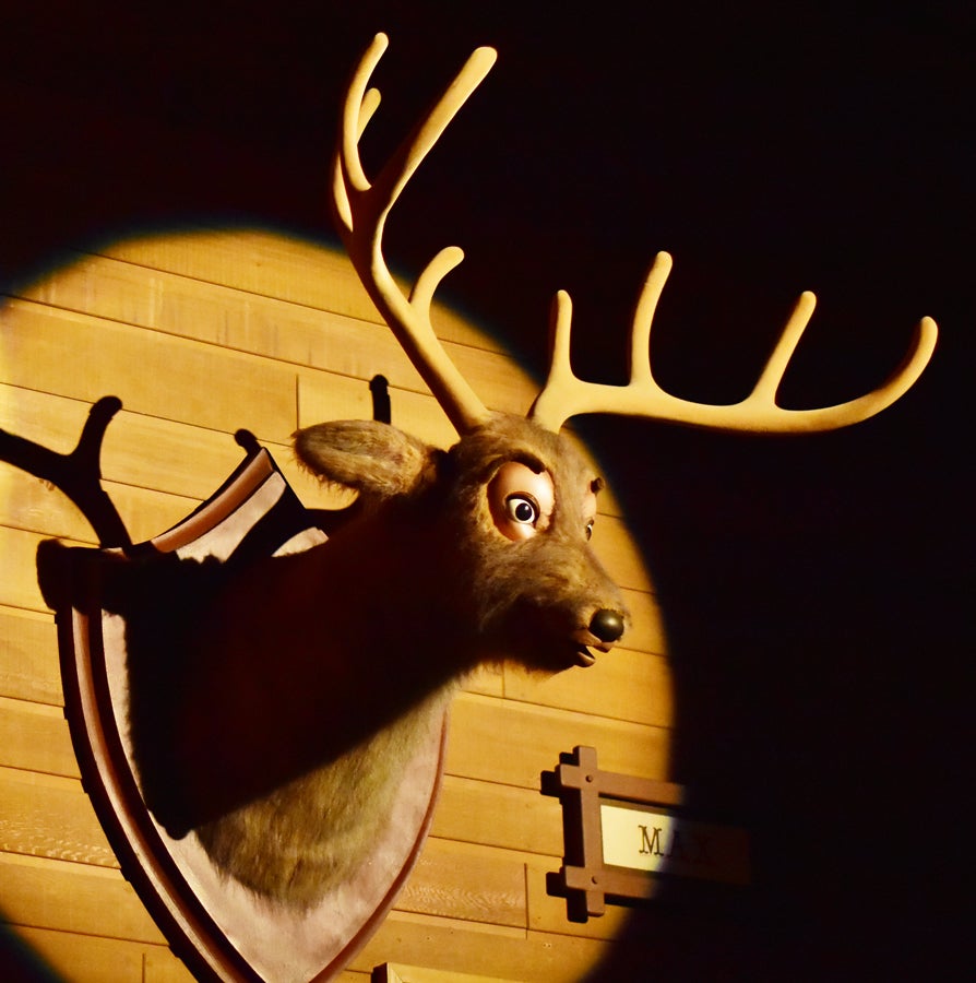 2017-01-06 カントリーベア・シアター 2 | ディズニーな雰囲気