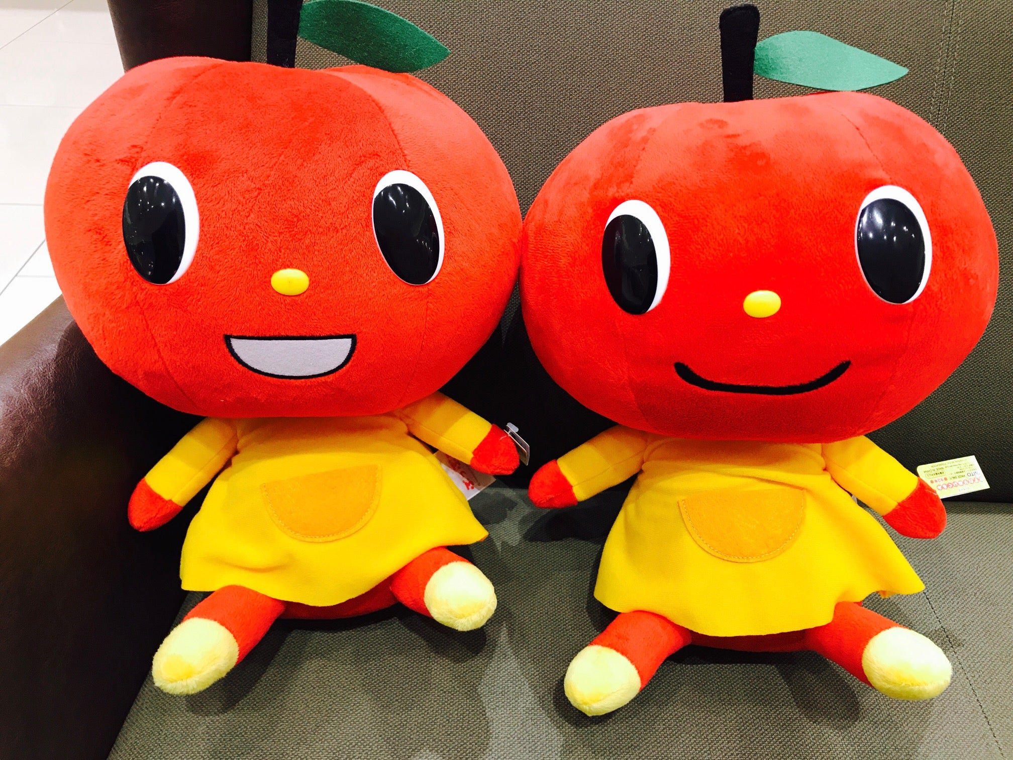 ぷっぷるぬいぐるみ | ワタナベミュージックラボスタッフブログ